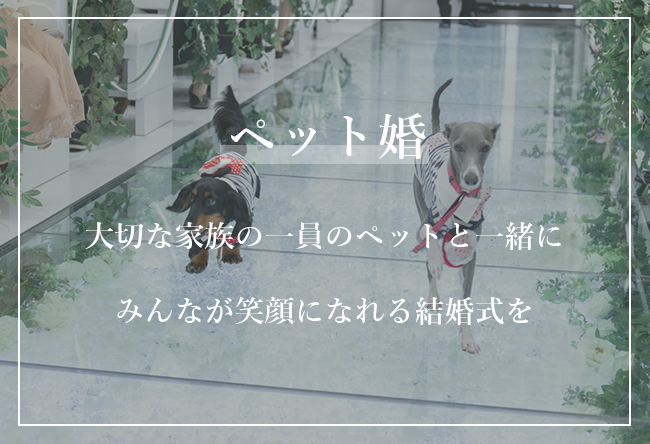 バリテラスCoCo金沢のペット婚で大切な家族の一員のペットと一緒に みんなが笑顔になれる結婚式を